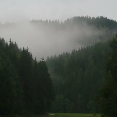 Bei Der Grossen Linde Wilhelmsthal